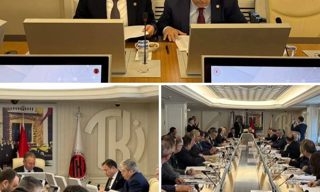 AK Parti Karabük Milletvekili Durmuş Ali Keskinkılıç’ın başkan vekilliğinde, Kamu